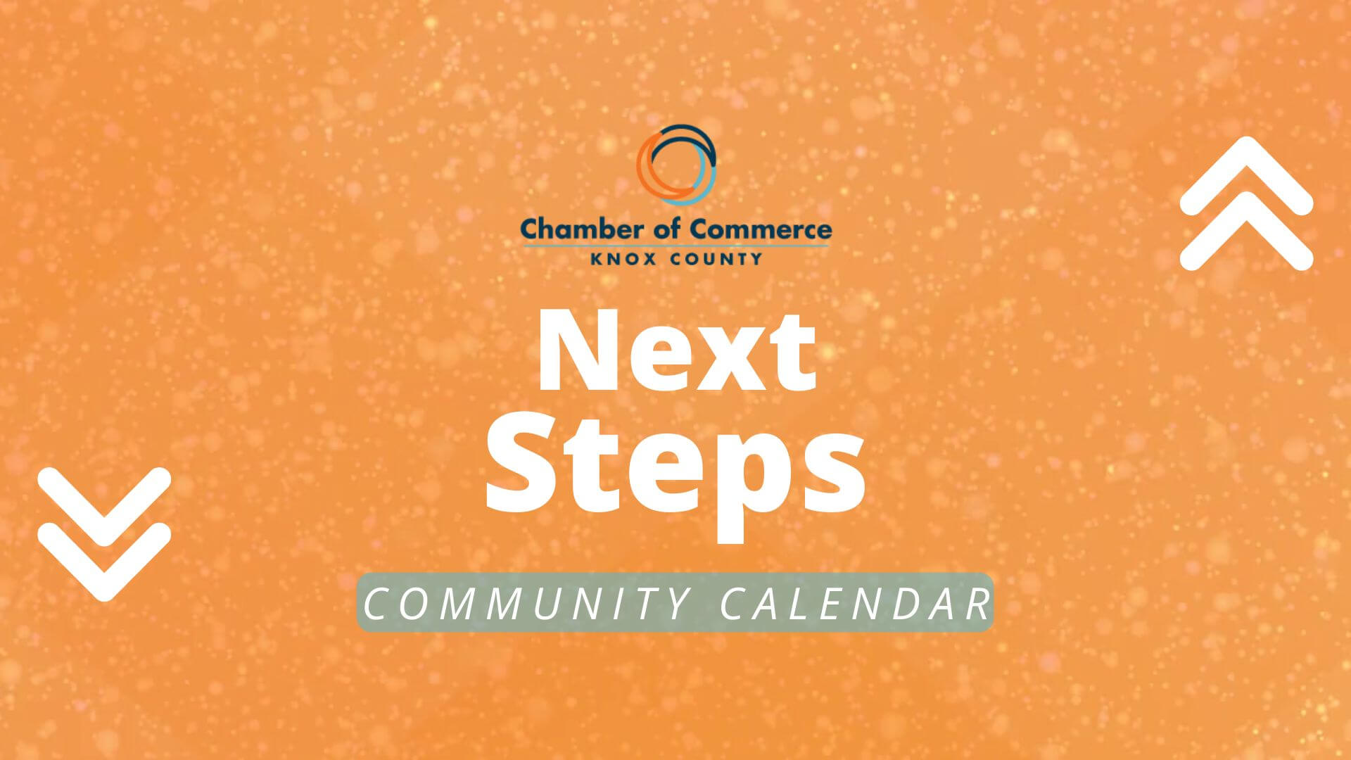 Next Steps - Back-End of Website (2)