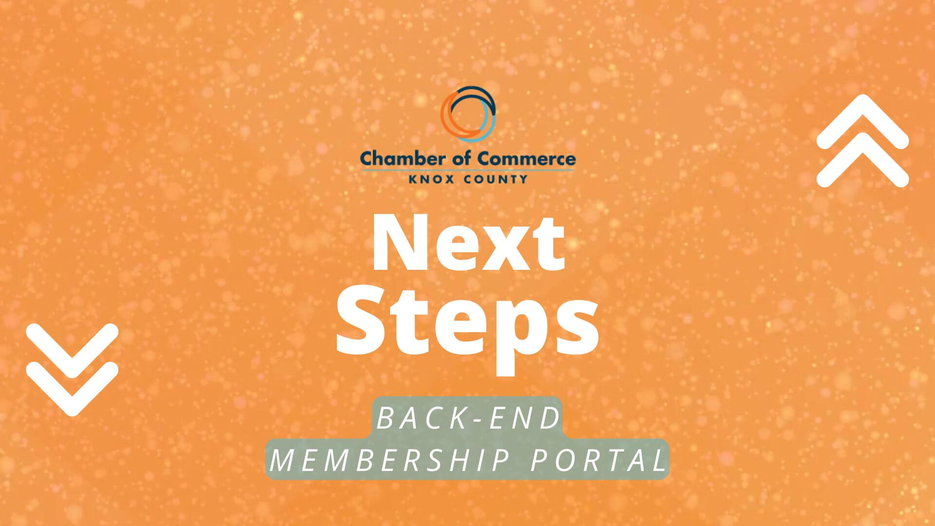 Next Steps - Back-End of Website (3)