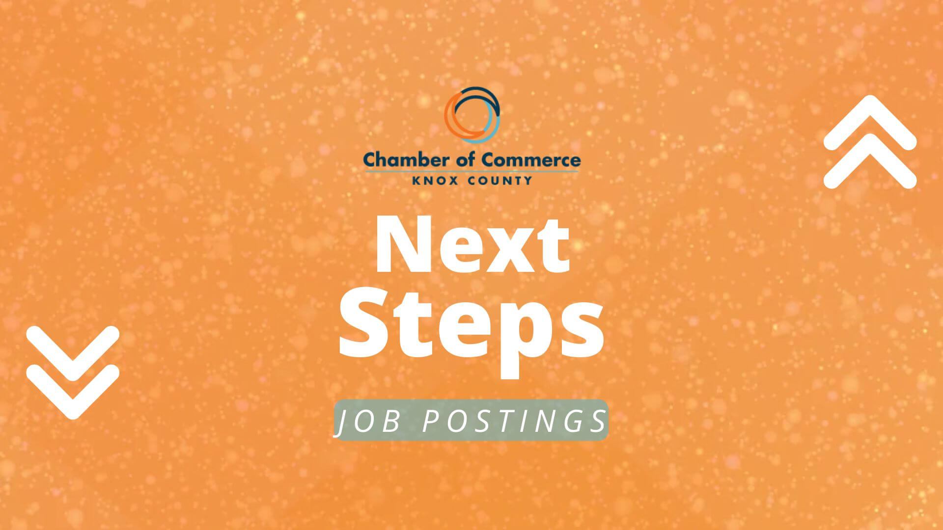 Next Steps - Back-End of Website (4)