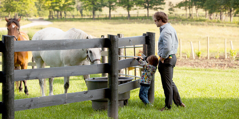 family and horses
